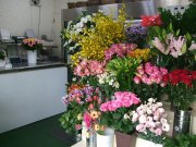 「フラワーショップちいさな花屋」　（宮城県名取市）の花屋店舗写真1