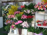 「フラワーショップちいさな花屋」　（宮城県名取市）の花屋店舗写真4